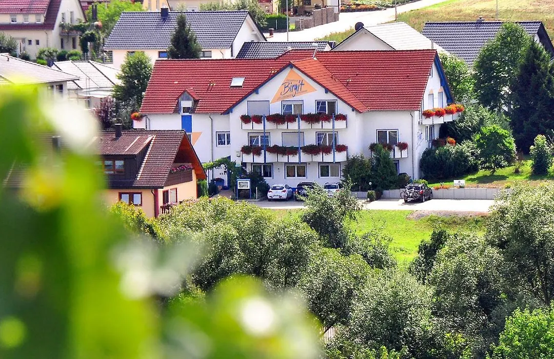 Hotelpension Gästehaus Birgit-1
